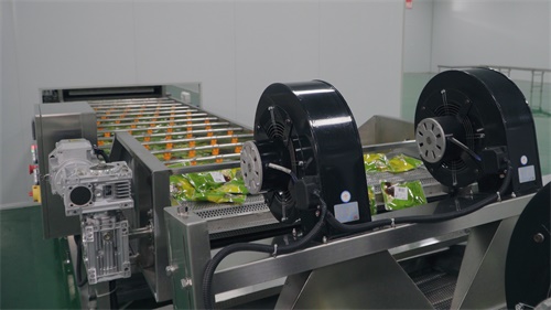 1598957487983919.jpg 生產(chǎn)線(xiàn)17.jpg